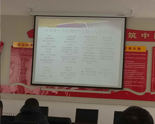 职业技能培训